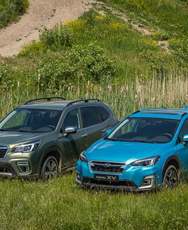 Forester and XV_low-009-27344